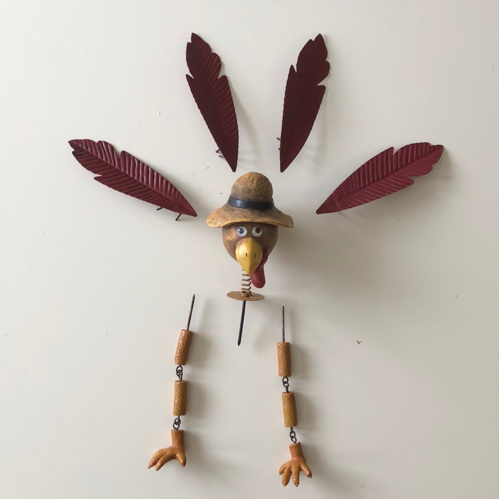Turkey Pumpkin Wear